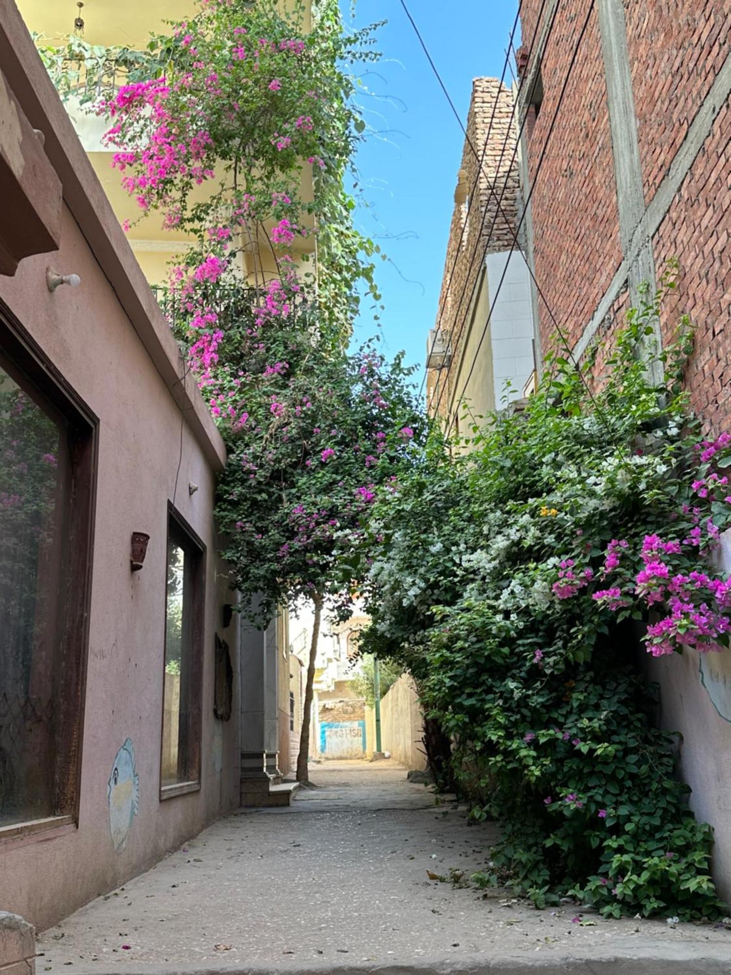 فندق Harmony House الأقصر المظهر الخارجي الصورة